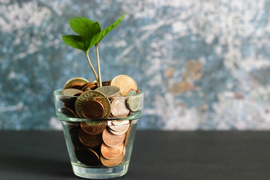 plante verte dans un vase en verre transparent