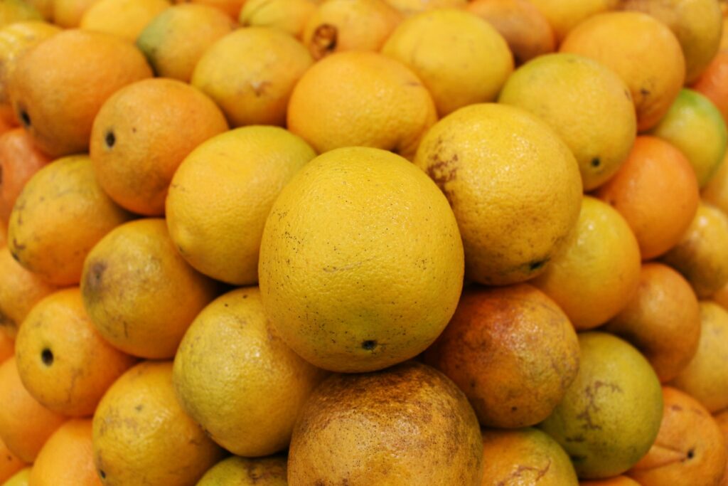 Photo en gros plan de fruits orange